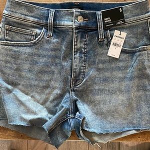 Express Shortie High Rise Shorts